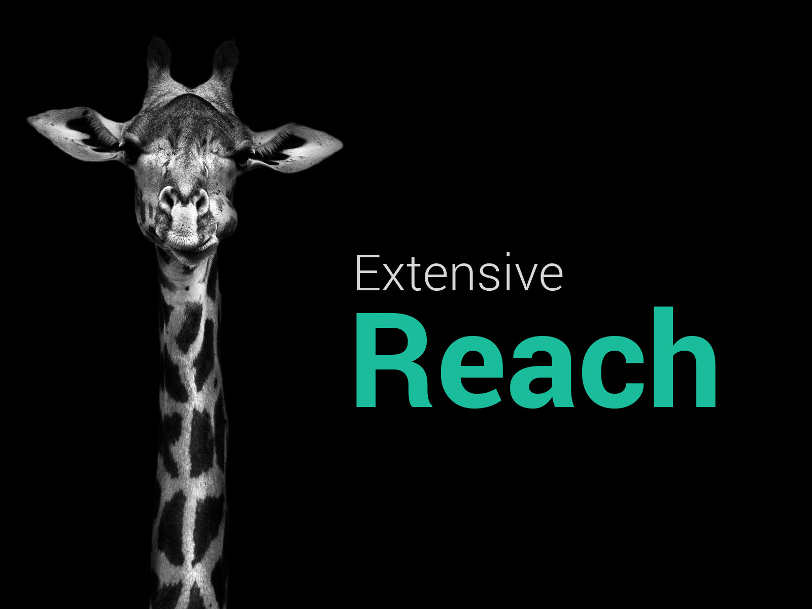 Extensive Reach